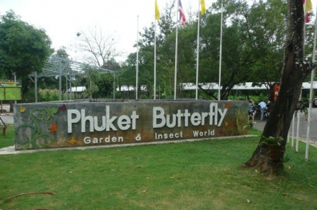 Фото сада бабочек на Пхукете, Тайланд