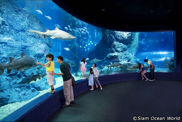 Фото в океанариуме Siam Ocean World в Бангкоке